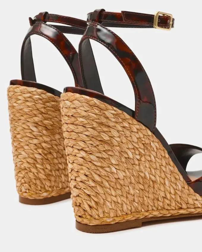 Devin Tortoise Devin Tortoise