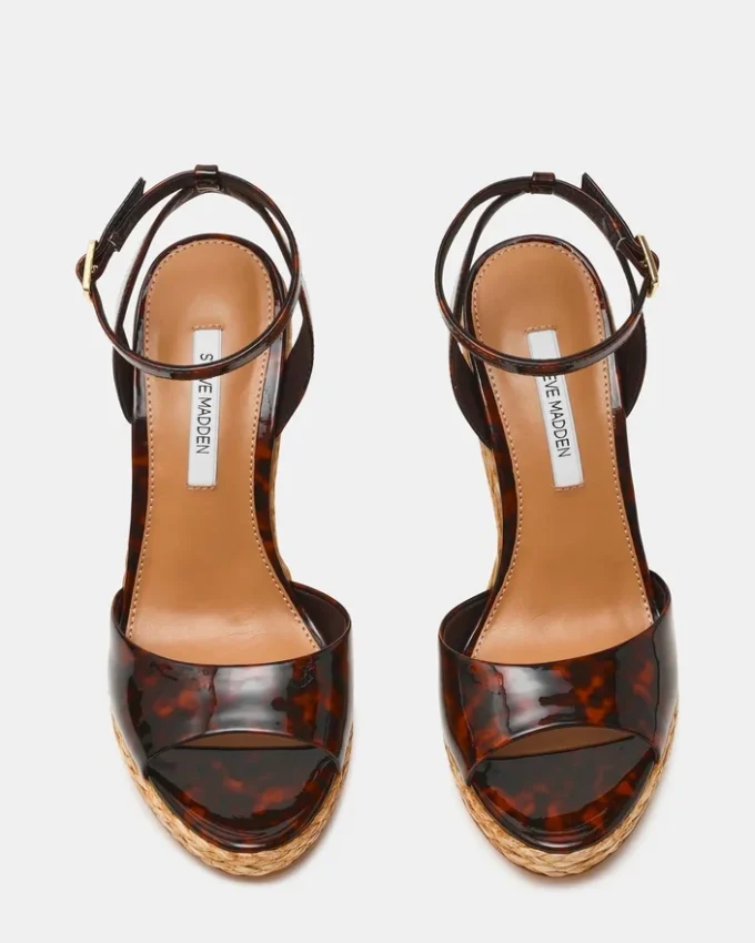 Devin Tortoise Devin Tortoise