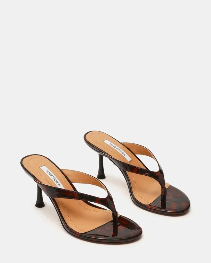 Faroh Tortoise Faroh Tortoise