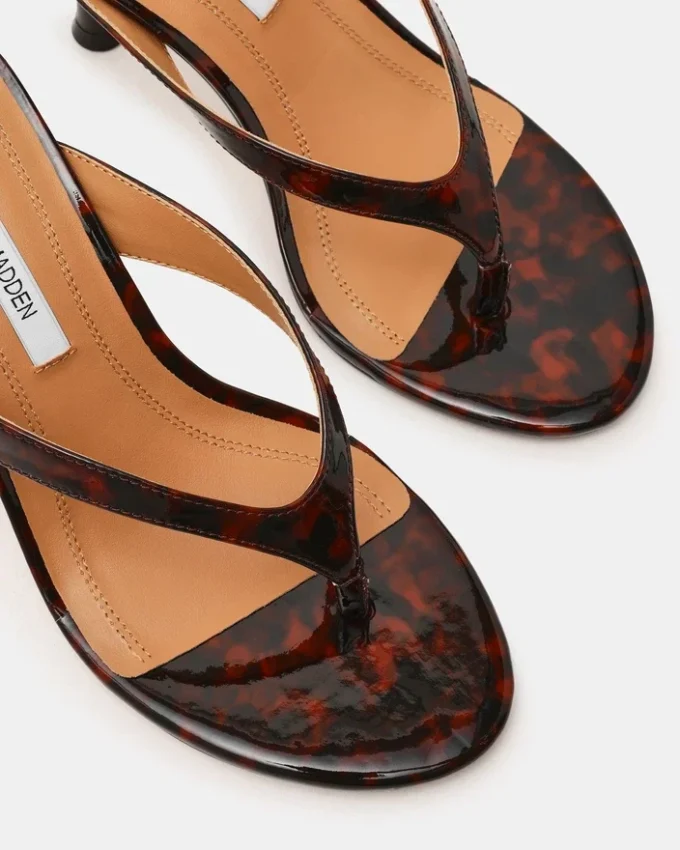 Faroh Tortoise Faroh Tortoise