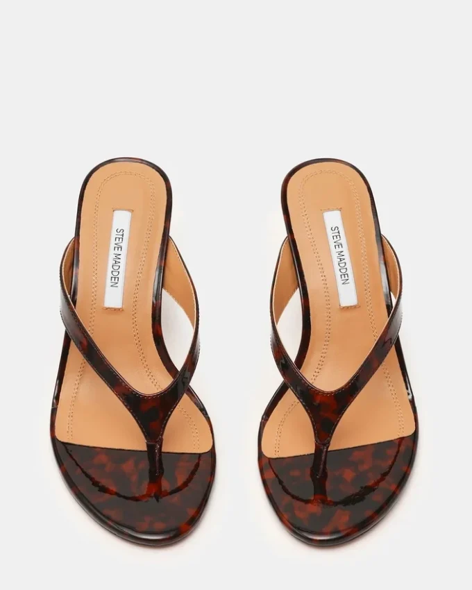 Faroh Tortoise Faroh Tortoise