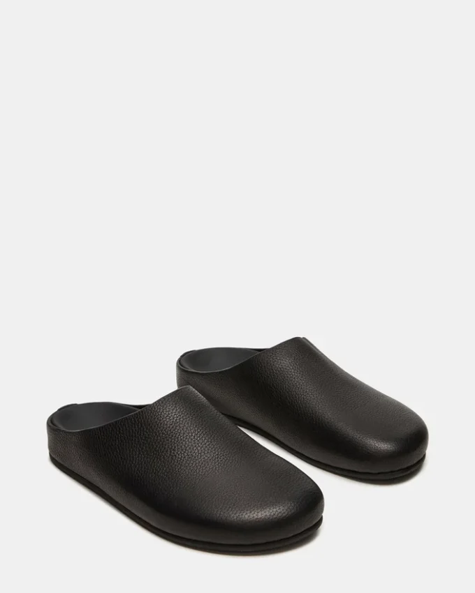 Fern din piele neagră