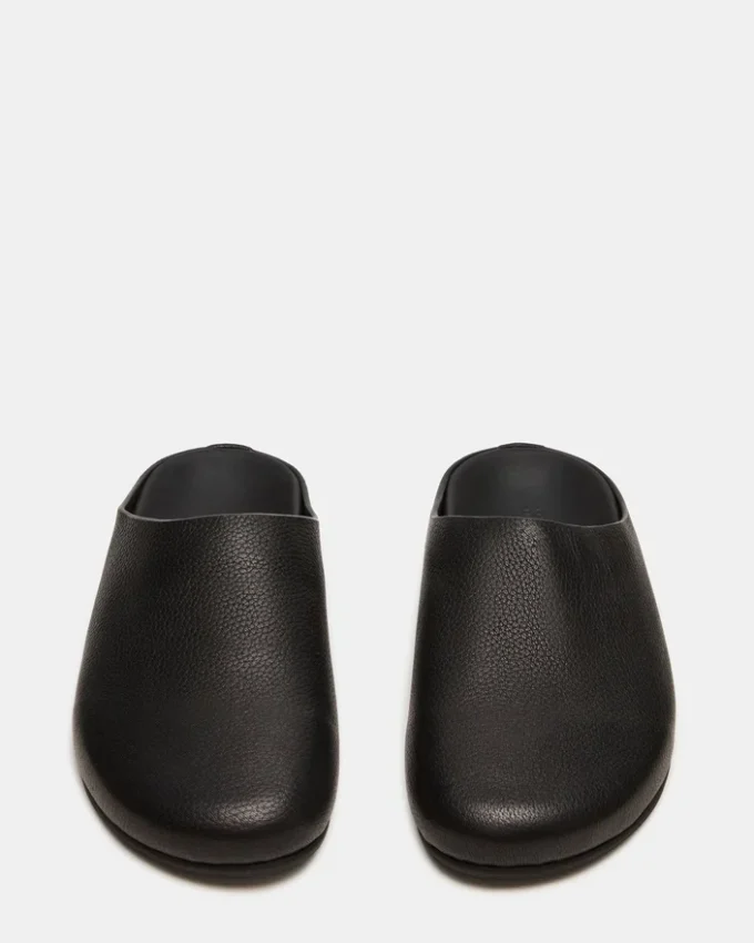 Fern din piele neagră