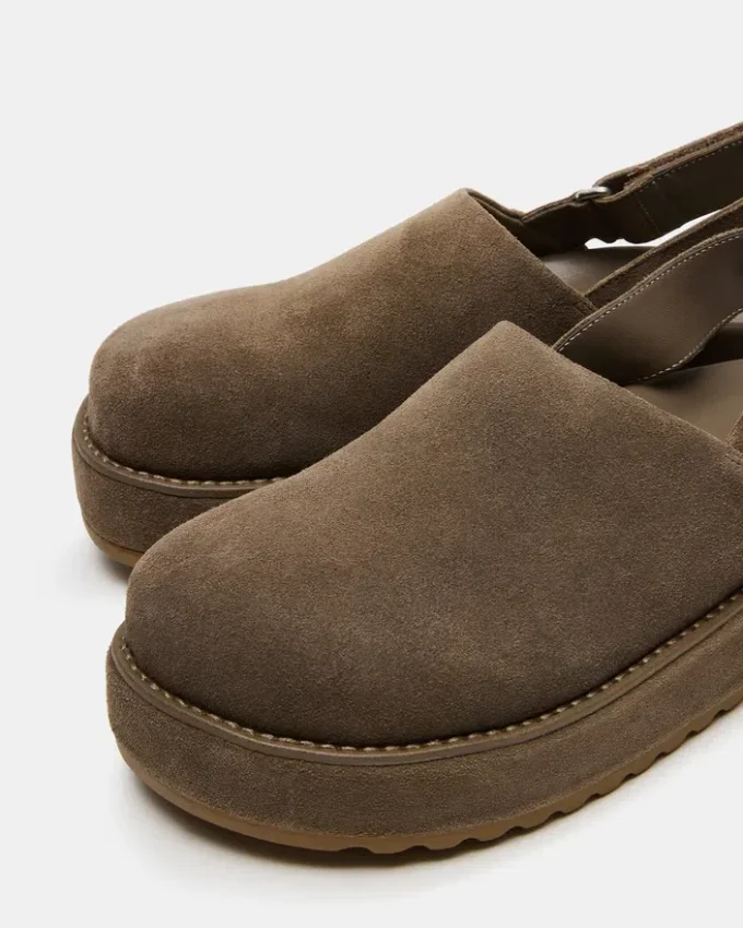 Gri salvie Gri salvie