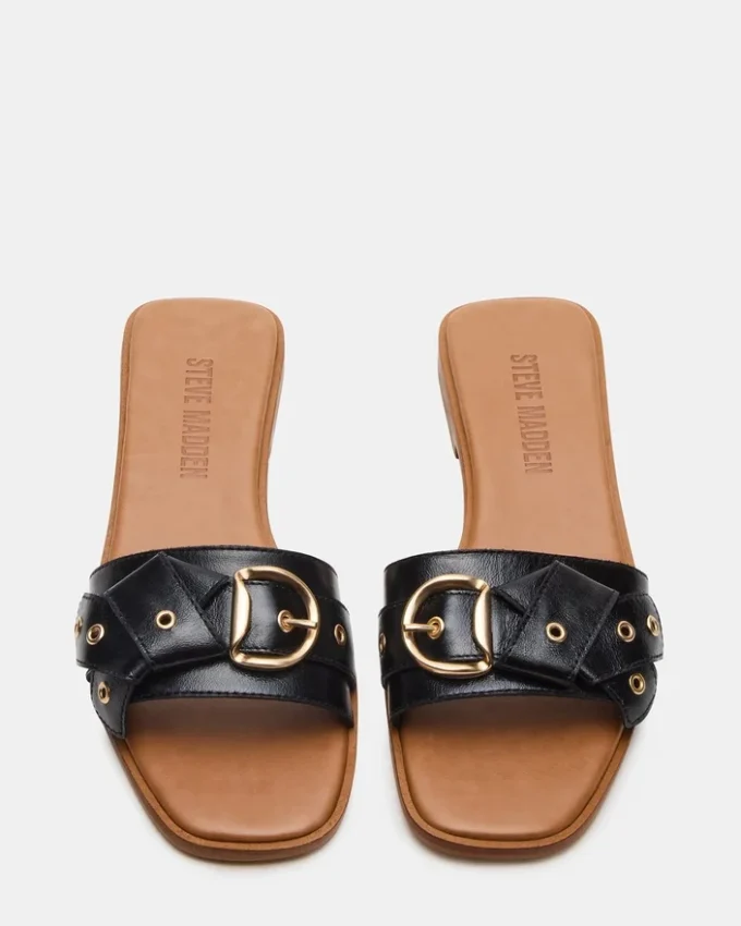 Hilaria din piele neagră