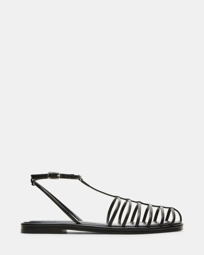 Marin Negru Marin Negru