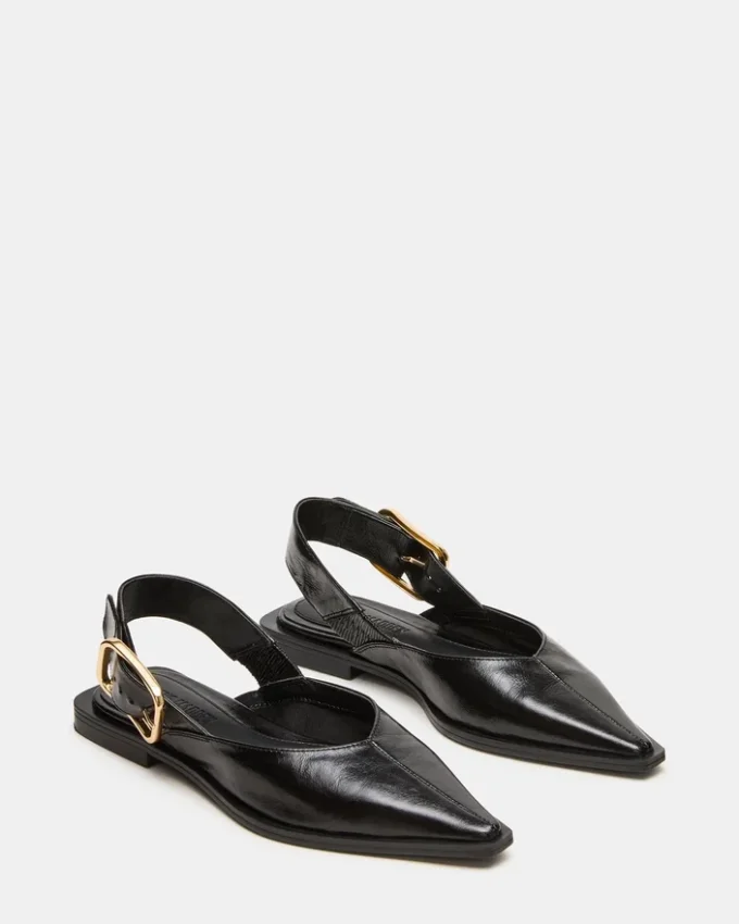 Shay din piele neagră Shay din piele neagră