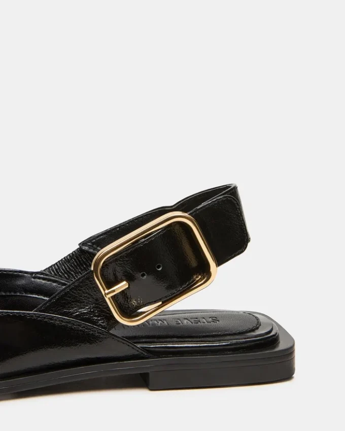 Shay din piele neagră Shay din piele neagră