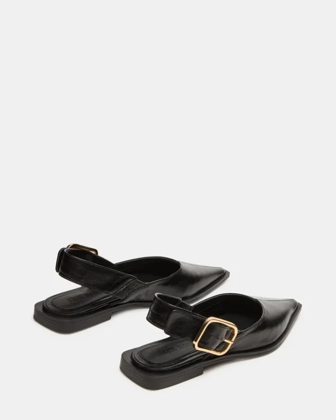 Shay din piele neagră Shay din piele neagră