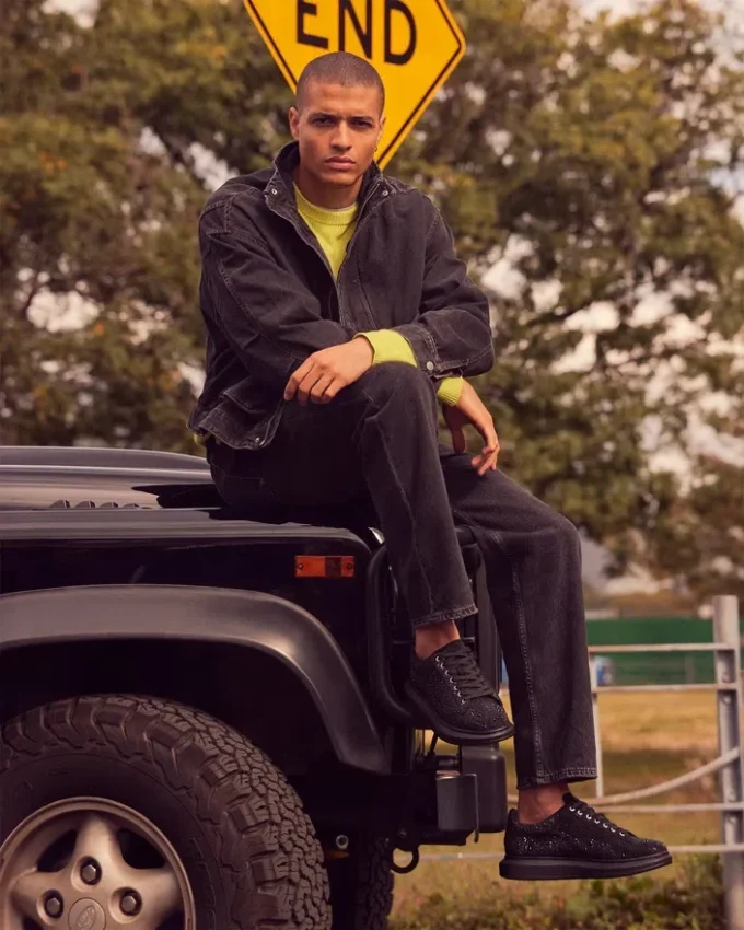 Strasuri Icebox Strasuri Icebox