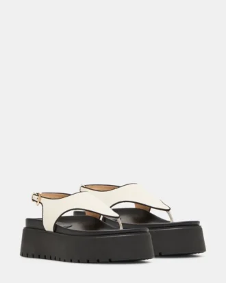 Tabor din in natural