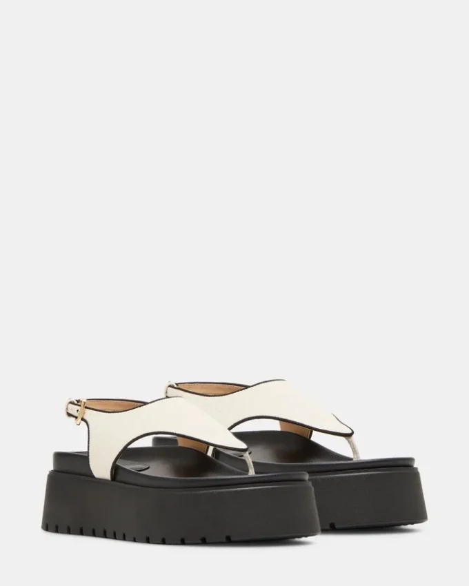 Tabor din in natural