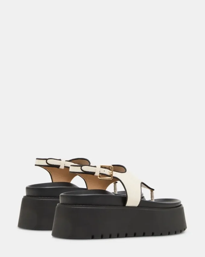 Tabor din in natural